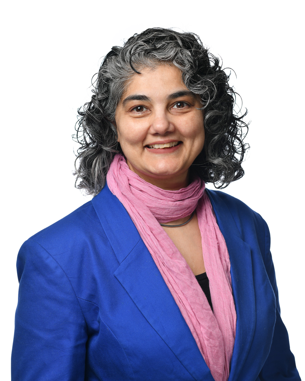 Ashu Ismail | Campisi LLP